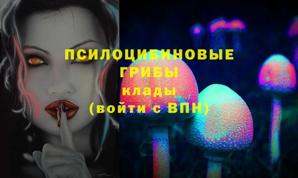 apvp Алзамай