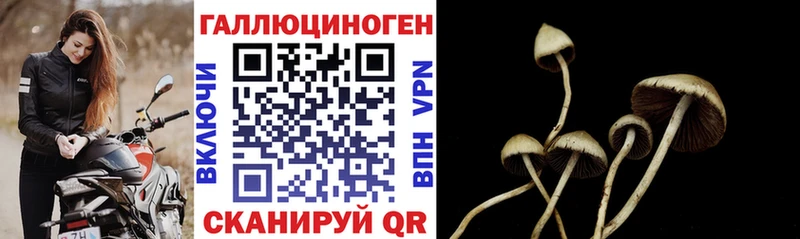 Галлюциногенные грибы GOLDEN TEACHER  Железногорск 